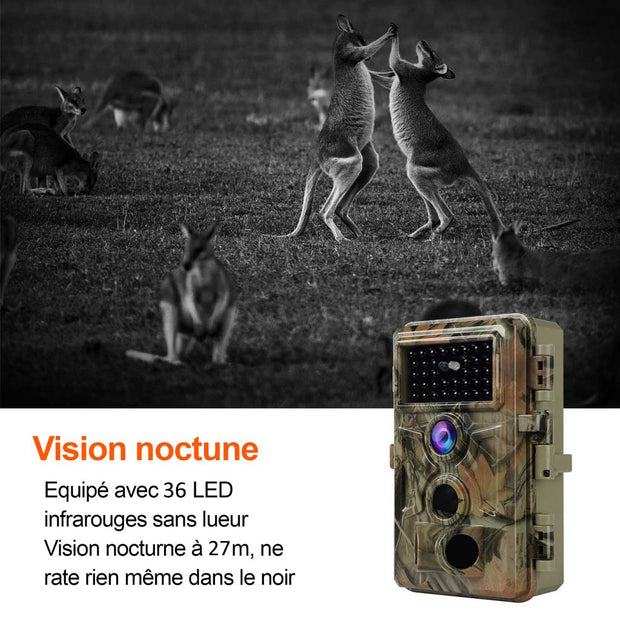La caméra de chasse comme caméra de surveillance pour la sécurité de l –  BlazeVideo France