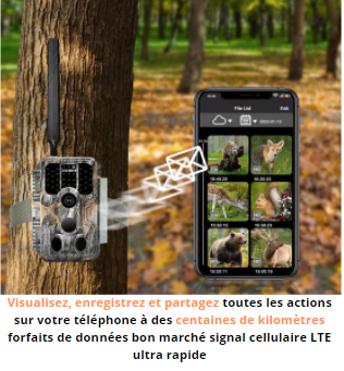 4G LTE Caméra de chasse 32MP 1296P Nocturne No Glow Invisible Infrarou –  BlazeVideo France